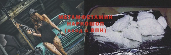 индика Надым