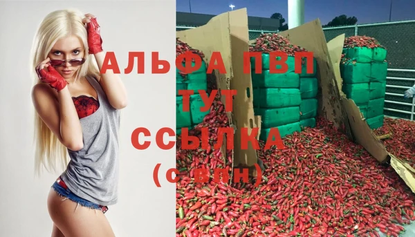 спайс Алексин