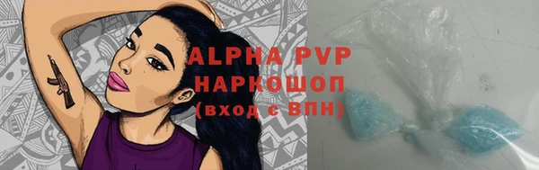 спиды Алзамай
