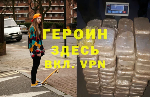 индика Надым