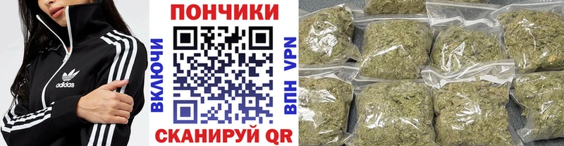 Бошки Шишки сатива  Ясный 